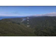 JAL×ビーブリッジ！奄美大島の魅力を発信する動画がYouTubeにて公開開始