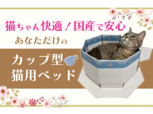 愛猫との時間を楽しむ「カップ型猫用ベッド」がクラウドファンディングに登場