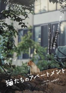 韓国発、地域猫のお引越し大作戦　住民たちとの交流を見つめたドキュメンタリー