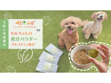 愛犬の健康寿命を考える飼い主のための「わんちゃんの青汁パウダー」発売