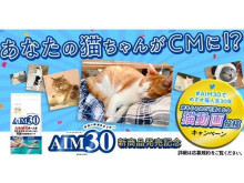 あなたの猫ちゃんがCMに!?歳をとるほど可愛くなる猫動画投稿キャンペーンを実施中