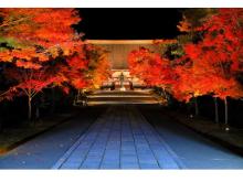 京都の紅葉とともに。世界遺産・仁和寺で音楽に包まれる「時の響」コンサートが開催