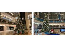 羽田空港に約7メートルのクリスマスツリーが登場！熊本県宇城市物産＆観光フェアも