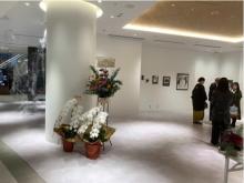 【東京都渋谷区】桜井智やバンクシーの作品の展示。アートギャラリー「Amalgam Art Gallery」
