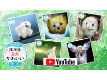 HBC北海道放送、YouTubeチャンネル「北海道かわいい動物チャンネル」開設