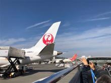 飛行機の迫力を体感！成田空港の非公開エリアをオープントップバスで巡るツアー開催