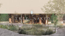 ヴィーガン充実のカフェ「TREE by NAKED」の2号店が神宮外苑に登場。4月下旬のオープンが待ち遠しい！