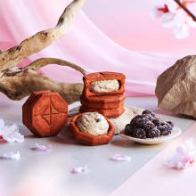 “桜”フード＆ドリンクを販売中の10ブランドをご紹介！春らしさ満開の香りや色合いに、心躍ること間違いナシ