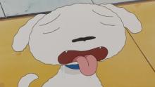 『映画クレヨンしんちゃん』野原家の“天才犬”シロ名場面集　しんのすけと“兄弟”のような関係性に感動