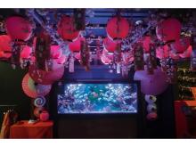 【東京都】お台場アクアリウムで「桜展 - 2023」開催。桜が名前の由来となった金魚が勢揃い