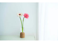 ナチュラルなデザイン花瓶をプレゼント！花の定期便「+hana」母の日キャンペーン開催