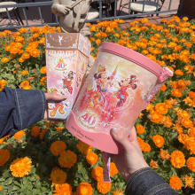 “東京ディズニーリゾート”40周年限定パッケージは持ってるだけでかわいい…！新発売の食べ歩きフード7選