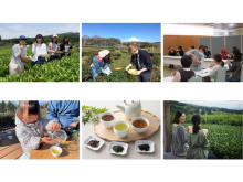 農林水産省が日本茶の魅力を伝えるキャンペーン開催！「にっぽん伝統食図鑑」にも注目