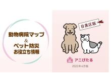 【東京都目黒区】困り事にあった動物病院を探せるマップ無償配布。ペットOKの飲食店やペット防災情報も