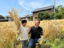 【兵庫県加東市】もち麦収穫が最盛期！地元小学生が「もち麦収穫＆もち麦うどん打ち」を体験