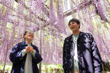 三上真史、柴田理恵・宮崎美子と“ガーデン散歩”　「モネの庭」「奇跡の大藤」に触れる