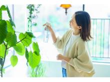 【東京都】大型観葉植物専門サブスクサービスLIVEがスタート＆初月無料キャンペーン開催中