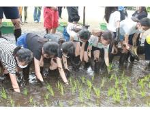 【東京都品川区】イメージワンが品川区立御殿山小学校の米作りの実習授業を支援！