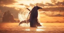 『アバター：ウェイ・オブ・ウォーター』クジラに似た海の生き物“トゥルクン”制作秘話