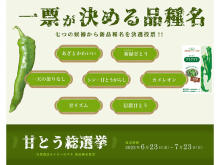 国産・農薬不使用のタネの新品種ネーミングキャンペーン「甘とう総選挙」開催中