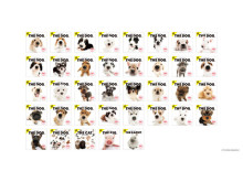 全75種類をラインアップ！犬種別「THE DOG 2024 カレンダー」の予約受付START