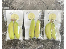 無農薬栽培で赤ちゃんが食べても安心！愛知県豊橋産「ベイビーバナナ」全国販売開始