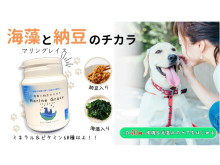 海藻と納豆を配合した犬用健康補助食品「マリングレイス」、Makuakeで販売！