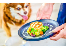 【神奈川県横須賀市】湘南国際村の「THE HOUSE FARM」に、愛犬がリードフリーで食事できるエリアが誕生！