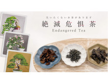 里地里山の保全につながる希少な「絶滅危惧茶」発売開始。初期導入店はホテル椿山荘東京