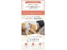 【東京都】犬猫の予防医療に特化！「ブリーダーナビ専用 犬猫生活 往診クリニック」登場