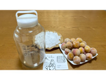 幻の梅「橙高」を商品化へ！Makuakeで梅酒やシロップが作れる手づくりキット販売