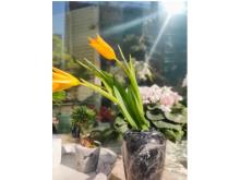 【東京都中央区】季節の花と石の花器を展示。Hello Stone Project、花と石の花器による企画展を開催