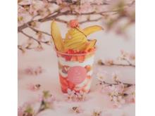 【東京都目黒区】「＆ OIMO TOKYO CAFE 中目黒」に、お花見シーズン限定の蜜芋桜スイーツが登場！