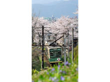 “春の京都と嵐電”がテーマの写真コンテスト開催！スマホ撮影の写真も応募可能