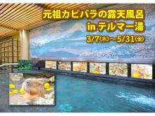 伊豆・静岡の魅力いろいろ！新宿天然温泉テルマー湯で「春の伊豆・静岡フェア」開催