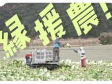 兵庫県淡路島で農業労働力支援の現場に密着。日本農業新聞がJA全農と連携し動画を公開