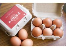 子どもに安心安全な卵を。27歳ママが開発したブランド平飼い卵「あかねの虜」