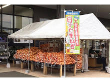 カインズの「くみまちマルシェ」で、千葉県白子町産の新たまねぎを無選別にて販売！