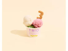 ヴィーガンジェラート「TUTTO」が、東京国立近代美術館「TRIO展」とコラボ！