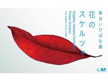 【東京都港区】初夏の瑞々しい季節を彩る！いけばな草月流の草月いけばな展「花のスケルツォ」開催