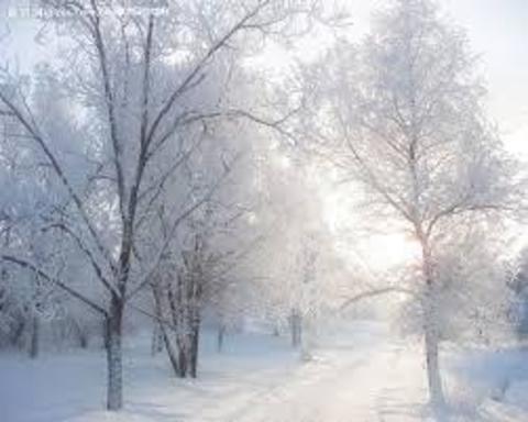 寒〜い季節にぴったり！♡雪のモチーフを使ったネイルまとめ2015〜2016冬♡