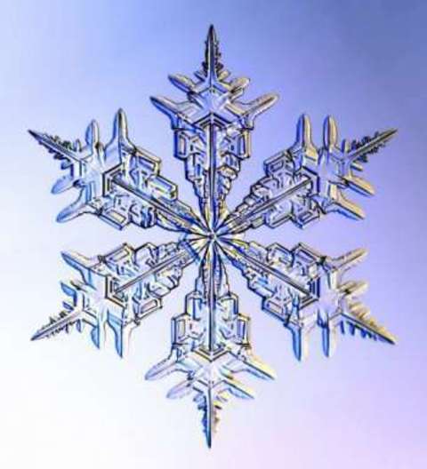キラキラ可愛い 雪の結晶ネイルで寒い冬を乗り切ろう プリキャンニュース