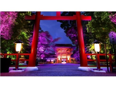 京都・下鴨神社で神秘的な光のアート空間を心静かに感じる☆大切な人と今夏に行きたいロマンティックな夜イベント