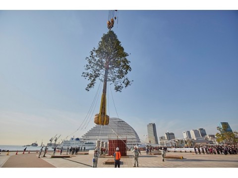 初日は槇原敬之のライブも！世界一のXmasツリーが神戸に登場