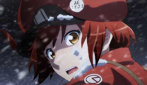 TVアニメ『はたらく細胞』第13話「出血性ショック（後編）」（最終回ですよ！）【感想コラム】
