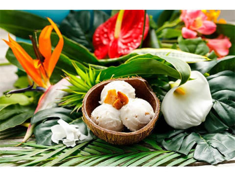 マウイ島生まれの“自然派ココナッツアイス”が日本初上陸！