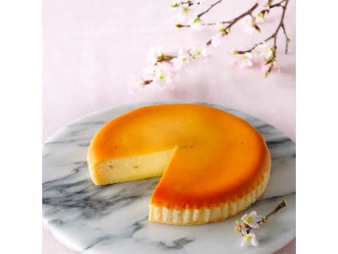 春のお祝いシーズンに！桜の上品な香りが広がる「さくらチーズケーキ」登場