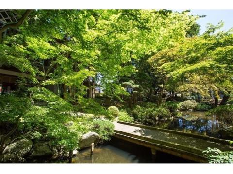 函館「湯元 啄木亭」の庭園を開放！マイナスイオン感じる深緑の中で散策を