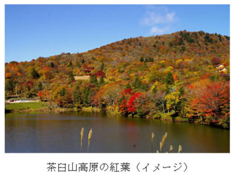 秋の鍋も無料！「愛知のてっぺん茶臼山高原から東三河を応援」イベント開催