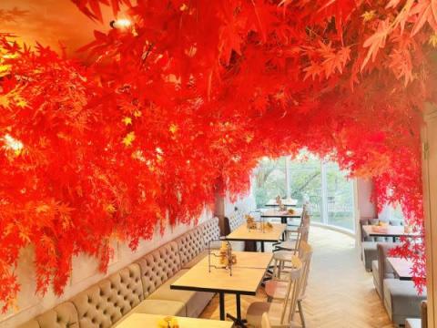 カフェ店内で紅葉狩り?! 真っ赤な紅葉景色が広がる店内でアフターヌーンティを味わおう